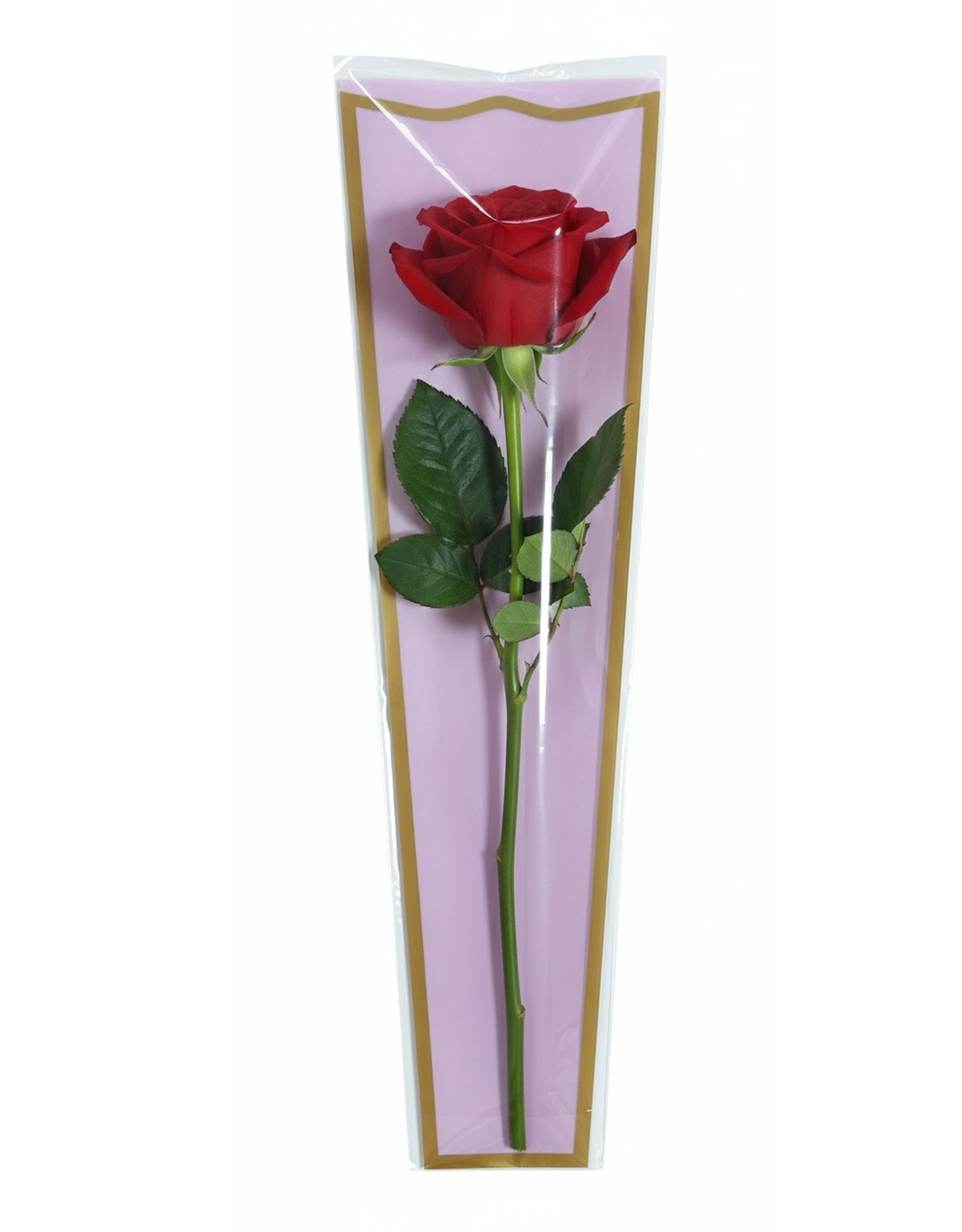 Tek Gül Poşeti Pembe Renkli 100 adet